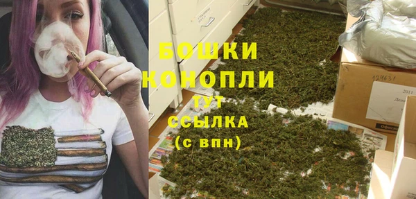 молекула духа Сосновый Бор