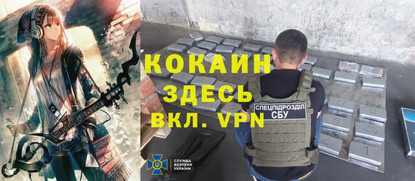 соль ск Сосновка