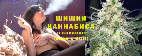 соль ск Сосновка