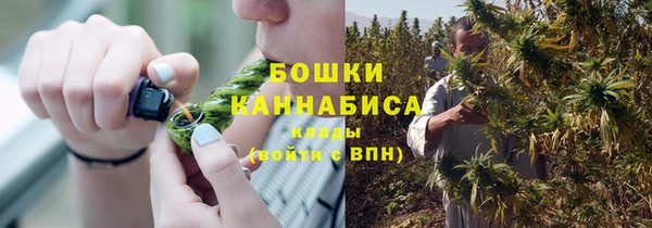 соль ск Сосновка