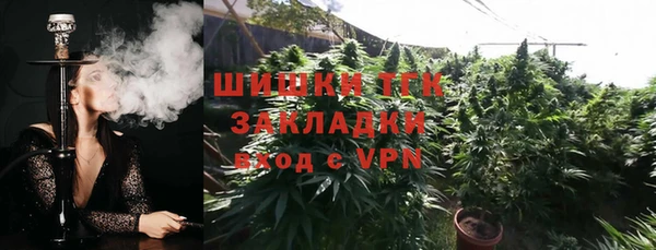 молекула духа Сосновый Бор