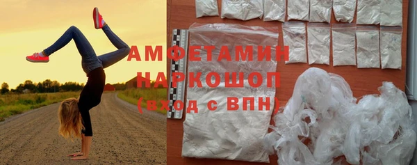 молекула духа Сосновый Бор