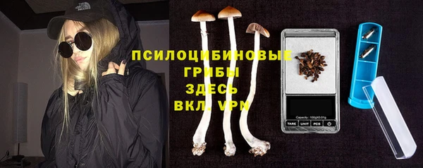 трава Сосновоборск