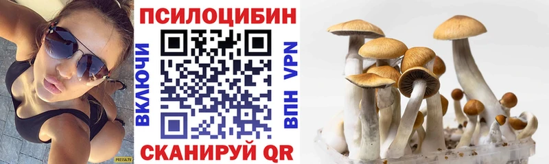 Псилоцибиновые грибы GOLDEN TEACHER  Фокино 